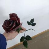 Ковані троянди... оголошення Bazarok.ua