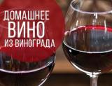Продам домашне вино... Оголошення Bazarok.ua