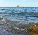 Приезжайте на море в Одессу( пляж Лузановка,лиман Куяльник-бесплатно)... Оголошення Bazarok.ua