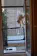 Вольер для кошек на окно. Броневик Днепр.... Объявления Bazarok.ua