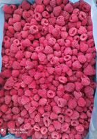 Продам замороженные ягоды бузина, малина, рябина , черника... Оголошення Bazarok.ua