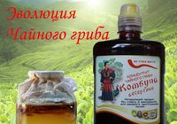 Комбуча десертний - концентрат чайного гриба, 0,5 л, 1... оголошення Bazarok.ua