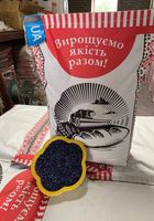 Семена подсолнечника. Гибрид Рона под Гранстар... Объявления Bazarok.ua