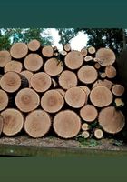 Продам дрова, дуб... Объявления Bazarok.ua