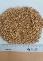 Пшеница, нут, просо, семена кукурузы и подсолнечника... Оголошення Bazarok.ua