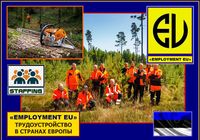 Срочная вакансия на работы по очистке леса, в Эстонию.... Оголошення Bazarok.ua
