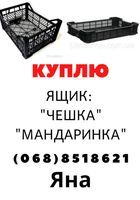 Куплю ящики... Объявления Bazarok.ua