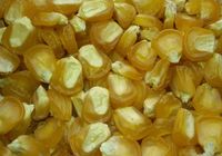 Продам семена сахарной кукурузы,урожай 2021.... Оголошення Bazarok.ua