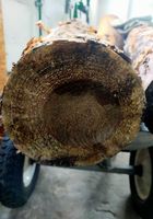 Продам рубани дрова різних видів дерев... Оголошення Bazarok.ua