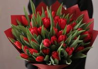 Принимаем заказы к 8 марта Голландские и Украинские тюльпаны... Оголошення Bazarok.ua