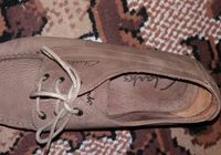Продам туфлі в ідеальному стані.... Оголошення Bazarok.ua