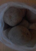 Продаж картоплі.... Оголошення Bazarok.ua