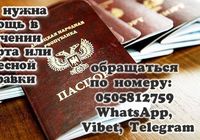 Помогу оформить документы ДНР... оголошення Bazarok.ua