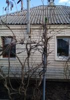 Продам дом в г. Рубежное... оголошення Bazarok.ua