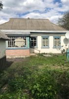 Продам будинок в с. Старосілля, Городищенського р-ну, Черкаської обл.... оголошення Bazarok.ua