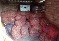 Продам картоплю... Оголошення Bazarok.ua