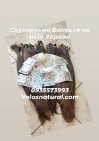 Купуємо волосся в Києві та по Україні -volosnatural.com... Оголошення Bazarok.ua