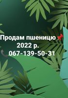 Продам ПШЕНИЦЮ 2022 рік... оголошення Bazarok.ua