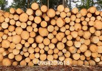 Продам дрова твердых пород... Оголошення Bazarok.ua