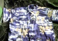 Мужская рубашка-тенниска,разноцветная в пальмах,б/у,хорошее состояние.... оголошення Bazarok.ua