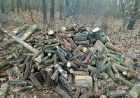 Продам дрова недорого... Оголошення Bazarok.ua
