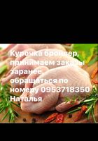 Куриные тушки (домашняя курица)... Оголошення Bazarok.ua