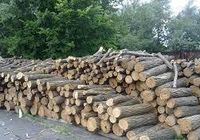 Продажа дров на зиму... оголошення Bazarok.ua