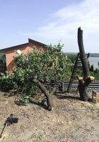Спил деревьев... Объявления Bazarok.ua