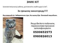 Зник кіт... Оголошення Bazarok.ua