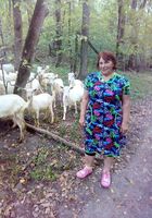 продам козу голанської породи... оголошення Bazarok.ua