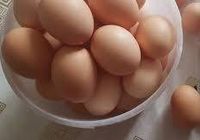 Продам домашние яйца... оголошення Bazarok.ua