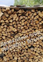 Продам дрова твердих порід... Объявления Bazarok.ua