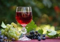 Продам домашні вина... оголошення Bazarok.ua