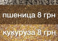 Кукуруза пшеница макуха ... оголошення Bazarok.ua