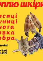 Куплю шкіри тварин... оголошення Bazarok.ua