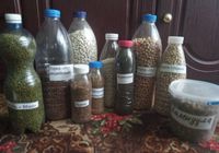 Продам фасоль, горох, семена чернушки, укропа, петрушки кучерявой, календулы... Оголошення Bazarok.ua