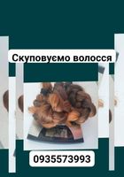 Продать волосы, куплю волосся по Украине 24/7-0935573993-volosnatural.com... Оголошення Bazarok.ua