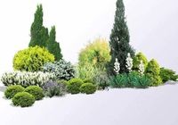 Ландшафтний дизайн, догляд за садом... Оголошення Bazarok.ua