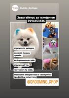 Грумінг... Оголошення Bazarok.ua