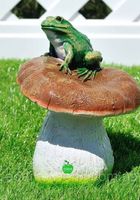 Садова фігурка Гриб с жабкою... Оголошення Bazarok.ua