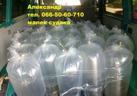 Продам малек (зарыбок) судака т.0665060710... Объявления Bazarok.ua