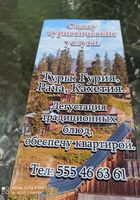 Туристические услуги... Объявления Bazarok.ua
