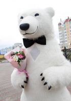 Медведь для сюрприза... Объявления Bazarok.ua