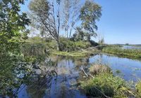 продаж ділянка сільськогосподарського призначення Бориспільський, Вороньків, 168330 грн.... оголошення Bazarok.ua