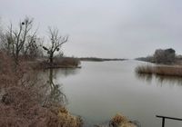продаж ділянка сільськогосподарського призначення Бориспільський, Вороньків, 4849505 грн.... оголошення Bazarok.ua