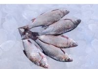 Оптовий продаж свіжомороженої риби... Оголошення Bazarok.ua