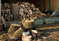 Продам рубані дрова від 1 складометру... Оголошення Bazarok.ua