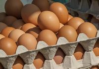 Куриные яйца ОПТ... Оголошення Bazarok.ua
