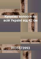 Продать волосы, куплю волося по всій Україні від 42... Оголошення Bazarok.ua