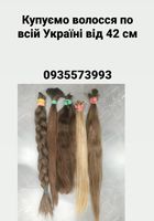 Куплю волосся, продать волосы по всій Україні від 42... Объявления Bazarok.ua